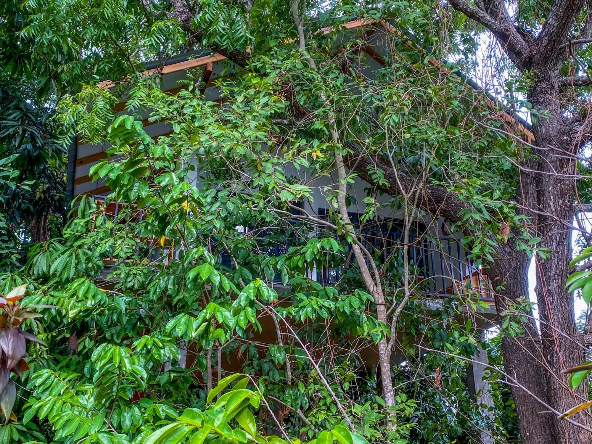 Elephant Lake Villa Sigiriya Exterior photo