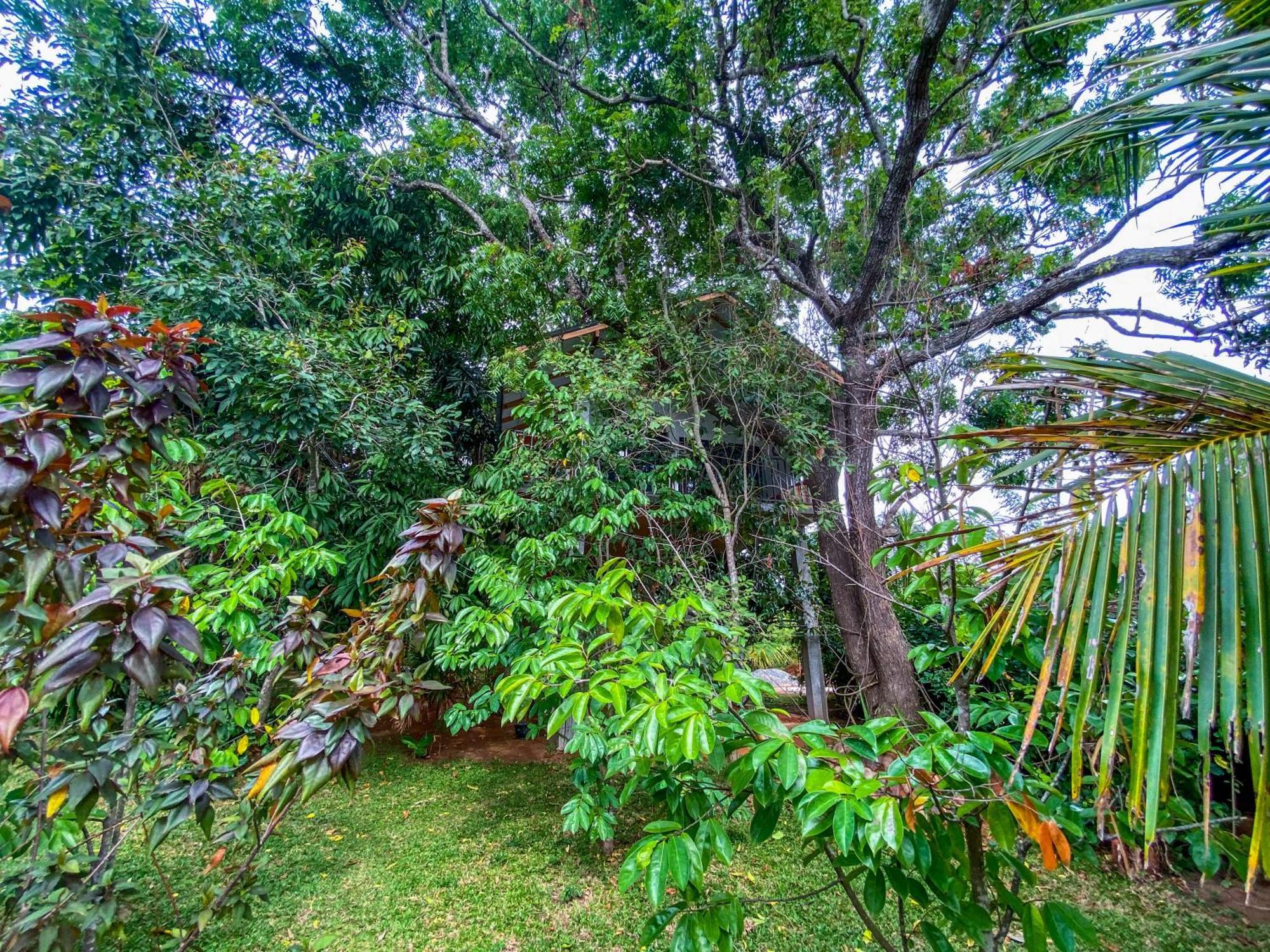 Elephant Lake Villa Sigiriya Exterior photo